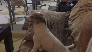 7.6K views · 496 reactions | Someone is a fan of horror movies! :D | Smile | Facebook