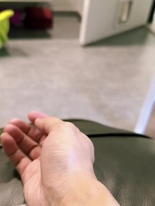 28 reactions | Coco, ready to go back  | Amber Toy Poodle | Facebook