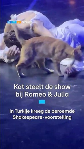Kat steelt de show bij Romeo & Julia | RTL Nieuws