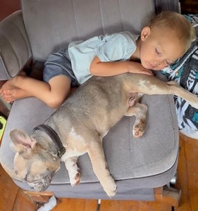 Two sleepy boys 💤 | Plant Based Gabriel