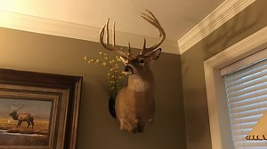 Position your mounts perfectly with a Full Range Hanging System. #FullRangeHangingSystems | Full Range Hanging Systems