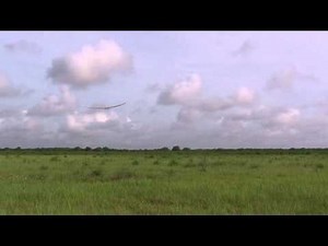 Esprit Model Pulsar 4E