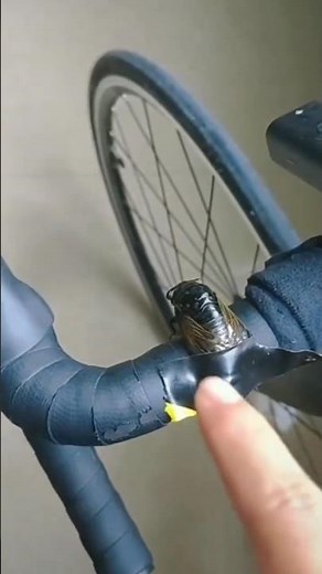 Java Bikes l How take bell 🔔🥺 #rb #bikelife #javatutorial