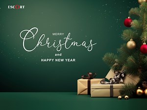 9.4K views · 1.4K reactions | Wishing you all Merry Christmas and Happy New Year! ❄️☃️ #Escortfashion #Fashion #MerryChristmas #2024 | Escort Fashion Myanmar | Facebook