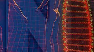 Humain Adn Code - Free video on Pixabay