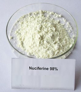 [Hot Item] Water Solubility Lotus Leaf Extract Nuciferine Powder