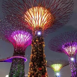 Tím chung tình on Reels