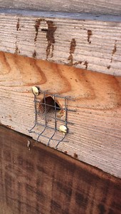 Sol Nectar Farm on Reels