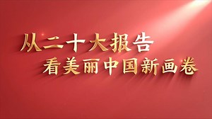 从二十大报告看美丽中国新画卷-新华网