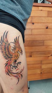 Hora de renacer!!! ✨️ #avefénix #fenix #fenixtattoos #phoenix #phoenixtattoo #legtattoo #bigtattoo #colorink #tatuadora #ink #redink #redinktattoo #orange #colores #brush #renacer #nuevoinicio | Ale Garmoss Tattoo
