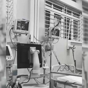 339K views | 혾 홝 홞 홡 홡 on Reels | Facebook