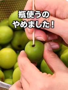 梅シロップの作り方｜保存袋で簡単レシピ（青梅1kg）