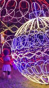 3.2K views · 31 reactions | It all starts this month, and we’re ready to light up Orlando! ✨ Dazzling Nights, presented by AdventHealth, returns to Leu Gardens totally redesigned — new installations, new live entertainment, and more sparkle than ever before. Stand beneath a 50-foot star, wander glowing gardens, and sip festive drinks under the trees. ️ Get your tickets now for the best dates — opening November 28 and selling fast! | Creative City Project | Facebook