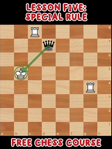 Lesson Five: Special Rule || Free Chess Course || Chess For Beginners | Chesscology