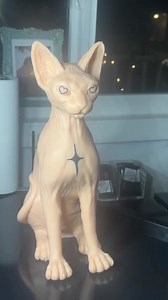 4.3K views · 10K reactions | Naked Tattooable Sphynx  x @tattoosbysjd  #ultimatetattoosupply #apoundofflesh #apof #apofnakedcat #tattooablecat #tattooablesphynx #sphynx #cat #sphynxcat | Ultimate Tattoo Supply | Facebook
