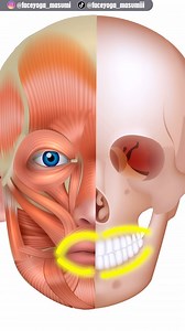 Let’s train the muscles around mouth to lift up your cheeks!! 😁🩷⁠ ⁠ If you like this post, leave “🧡” in the comments!⁠ If you want to try this later, please “SAVE” this post!⁠ ⁠ Follow ⇨ @faceyoga_masumi for more facial exercises & massages! ⁠ ⁠ ———————————⁠ ⁠ ▶YouTube 1.9M subscribers: Masumi Channel ⁠ ⇨Masumi posts contents about face exercise & massage everyday! Please subscribe our channel to stay younger and more beautiful! ⁠ ⁠ ▶Join Masumi Membership for Masumi’s EMOJI😆💖⁠ ⁠ ▶Join 40 k