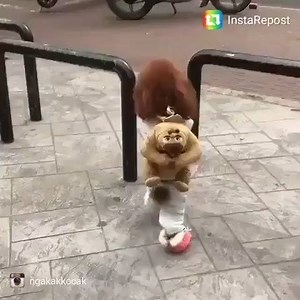 35K views · 450 reactions | Sarafan on Reels | Facebook