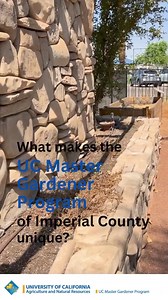UC Master Gardener Program’s Kristian Salgado shares what makes the UCCE Master Gardeners of Imperial County program unique, in particular with the Latino community. #ImperialCounty#LatinxHeritgageMonth #HispanicHeritageMonth | UC Agriculture & Natural Resources