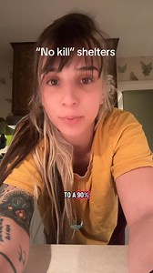 28K views · 1K reactions | “No kill” shelter/rescue reality check . . . . . . #Animalrescue #greenwitchmystics #catlover #catupdate | Green Witch Mystics | Facebook
