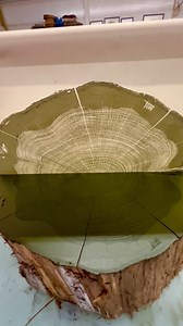 Eastern Red Cedar tree print reveal! Eastern Red Cedar on handmade paper using Hunter green ink. 30” x 30” #woodprint #blockprint #art #artwork #woodworking #wood #ink #nature #interiordesign #interiordecorating #decor #wallart #painting #design #mothernature #outdoors #travel #cedar #treeprint #patternsinnature #arborist #timber #woodgrain #hiddenbeauty #tree #color #woodart #artist #sapwoodworks | Stephen King