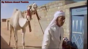 110 reactions · 275 shares | very old video about festival of Douz,Tunisia | Sahara desert Tunisia ღ | Facebook