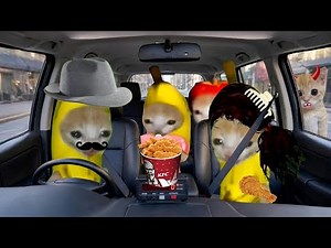 Banana cat crying not happy compilation 540 #babybananacat #happycat #catmemes #bananacat