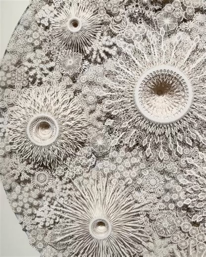 1.4K views | ArtScience Museum on Reels | Facebook