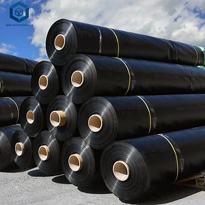 [Hot Item] Dampproof HDPE Waterproofing Membrane Pond Liners for Dam Project in Kenya