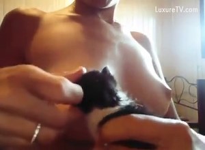 Breastfeeding puppies