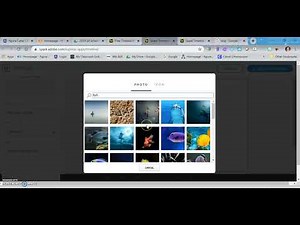 Adobe Spark Timeline Instructions