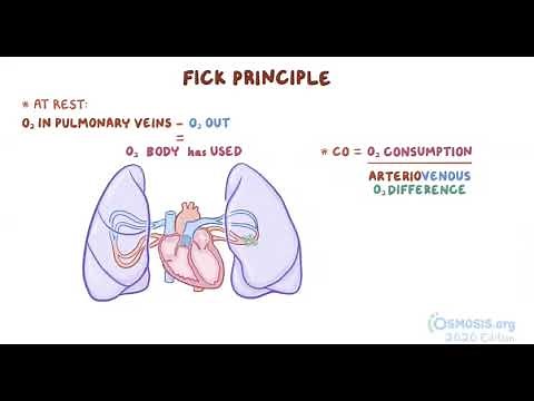Cardiac Output with Fick Principle | Osmosis