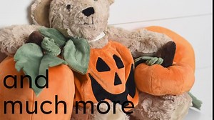 Shannon Minky Luxe Cuddle Snowy Owl Rosewater, Fabric by the Yard