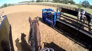 12K views · 447 reactions | 퐑퐨퐩퐢퐧퐠 퐭퐡퐫퐨퐮퐠퐡 퐭퐡퐞 퐞퐲퐞퐬 퐨퐟 퐓퐫퐞퐯퐨퐫 퐚퐧퐝 퐏퐚퐭퐫퐢퐜퐤? 화홚홨, 홥홡홚홖홨홚. That Easter exclusive at Roping.com ends today! Spend your Easter Sunday watching instructional videos from some of the best ever for 퐅퐑퐄퐄 -> https://bit.ly/41cnSne | The Team Roping Journal Magazine | Facebook