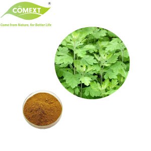 [Hot Item] Comext 100% Natural Dried Herba Clearing Away Heat and Dampness Artemisiae/Oriental Wormwood Extract