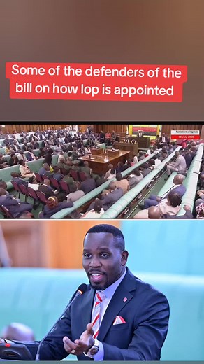 How LOP Is Appointed: Adeke Anna MP on the LOP Bill