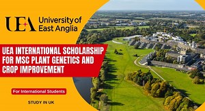 UEA International Scholarship for MSc Plant Genetics and Crop Improvement - Scholarship Positions 2024 2025