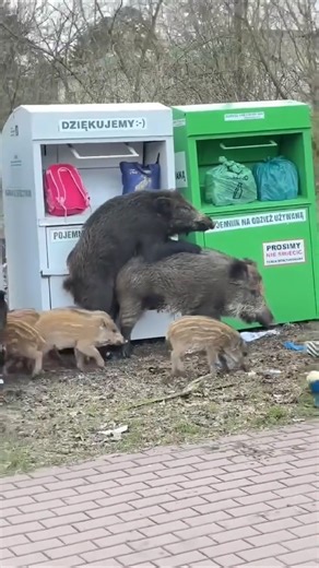 Petite partouze en famille les Rillettes!#OKLM