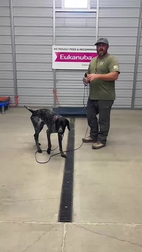 2.2K views · 138 reactions | Bodhi’s working on a new challenge today...