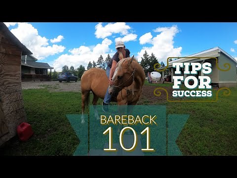 HOW TO RIDE A HORSE BAREBACK{BAREBACK 101}