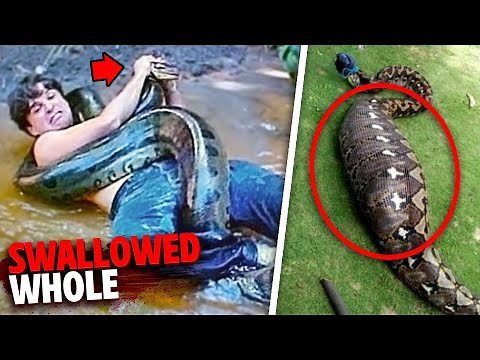 The HORRIFYING Last Minutes of Jahrah Eaten Alive By Snake!