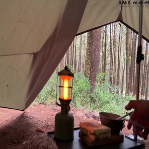 20K views · 938 reactions | Solo camping in rain without a tent • Relaxing sound of nature | Cabins on the Mountain | Facebook