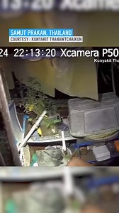 A 64-year-old woman was preparing to do the dishes at home when she felt a sharp pain in her thigh and looked down to see a huge python taking hold of her. https://on.nbcdfw.com/EdoseGB | NBC DFW