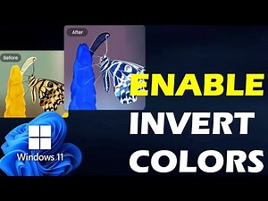 Enable Invert Colours in Windows 11 - Make Accessibility Better