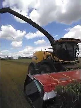 2024 DOMAI MPD-760 direct cut head at work