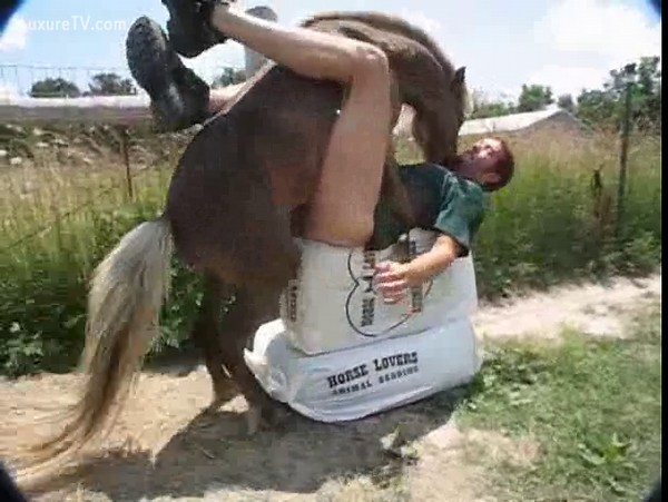 Horse fucks man at the farm