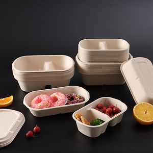 [Hot Item] Disposable Tableware 1000ml Single-Cell Food Container Takeaway Disposable Food Packaging