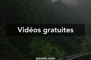 Videos de cunnilingus vidéos de stock libres de droits