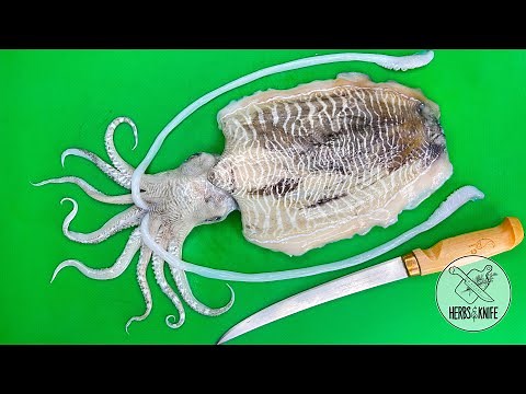 CUTTLEFISH: How to clean and prepare || Quick and Easy