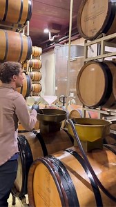 26K views · 157 reactions | Gentle gravity racking of Pinot Noir at Domaine Drouin, Oregon, USA  #thewinearound #pinotnoir #wineracking #winemaking | Thewine Around | Facebook