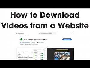 How to Download Videos from Any Website for Free | Video Downloader Professional Tutorial